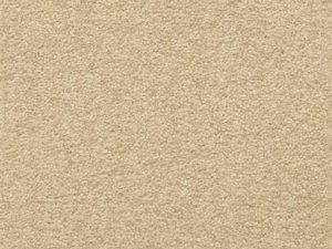 secluded-patriot-masland-carpet-rug