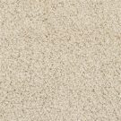 baskul-shangri-la-masland-carpet-rug