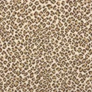 bengal-felix-remix-stanton-carpet-rug