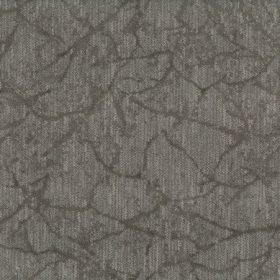 Birch