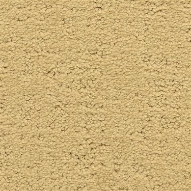 cabrillo-blvd-santa-barbara-masland-carpet-rug