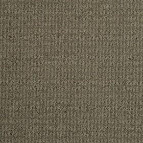 Cotton Seed