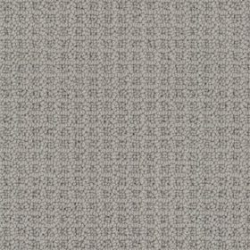 Dolphin Grey