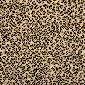Ocelot