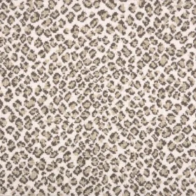 Snow Leopard